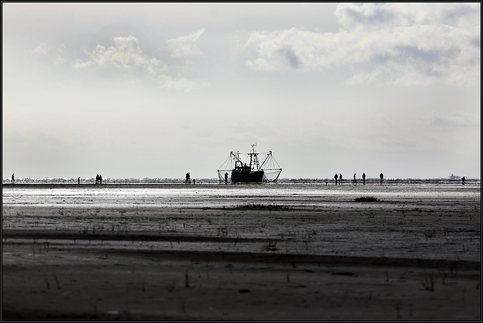 Krabbenfänger auf Borkum 