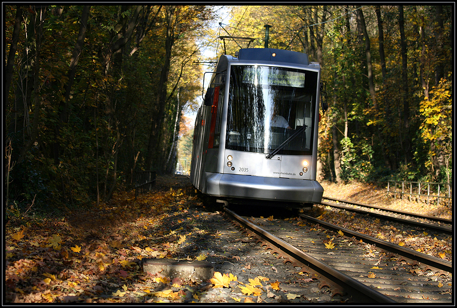 Durch den Aaper Wald....... mit der Rheinbahn