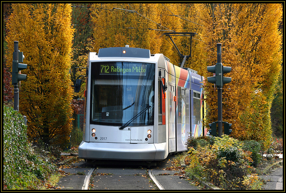 Goldener Oktober anzusehen....... mit der Rheinbahn