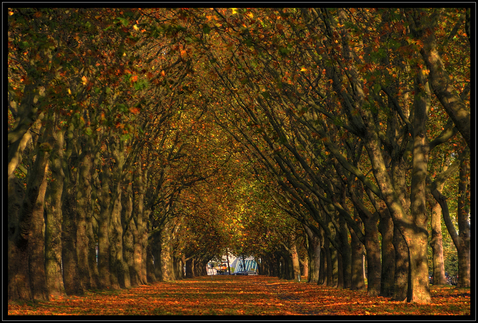 Düsseldorf - Völklinger Str.