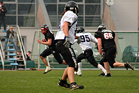 Düsseldorf  Panther Rookies vs. Langenfeld Longhorns