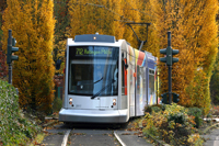 Goldener Oktober anzusehen....... mit der Rheinbahn