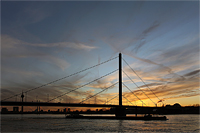 Düsseldorfer Brückenfamilie - Oberkasseler Brücke 